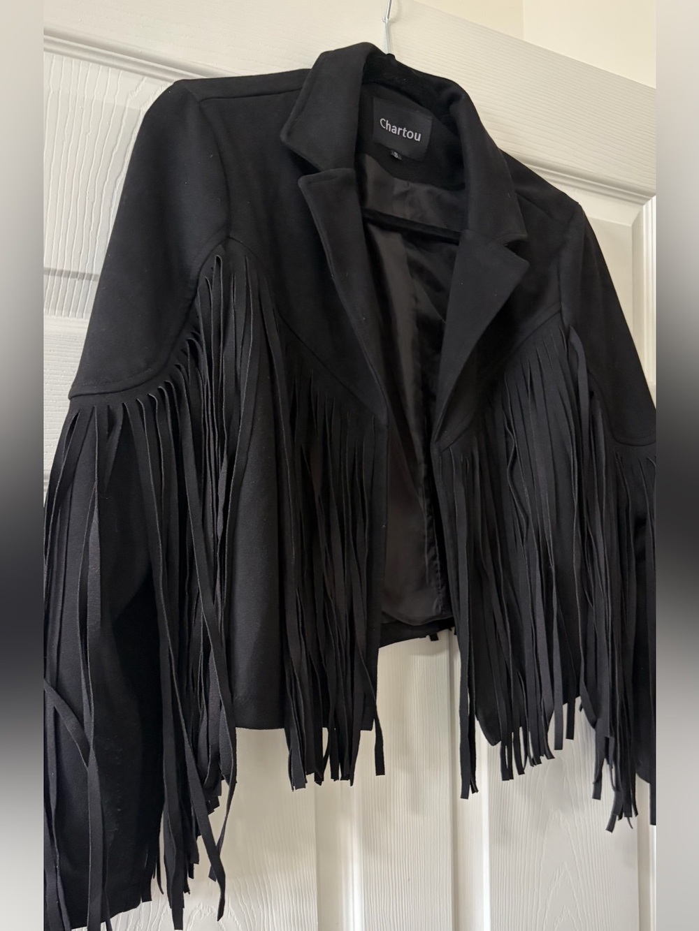 Western Black Fringe Cropped Suede Jacket - Picture 2 of 6